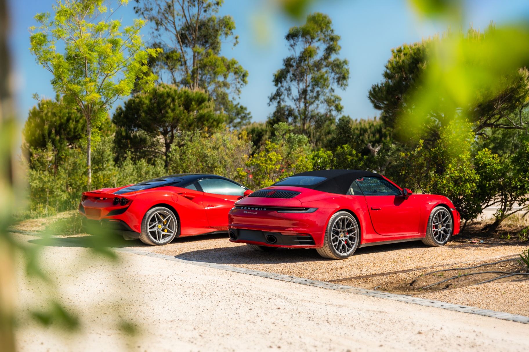 Premium fleet — Ferrari & Porsche